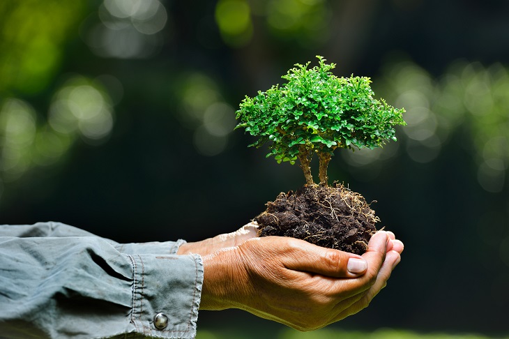 Debemos aprender a defender la ecología