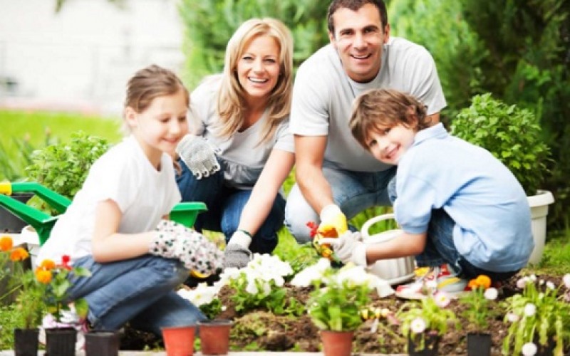 Consejos para cuidar las plantas de su jardín